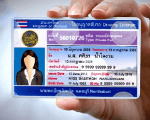 TDLS-newdriverslicense